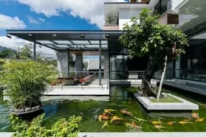 thiết kế cảnh quan sân vườn hồ cá koi