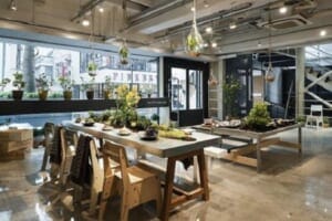 thiết kế quán cafe kiểu Pháp