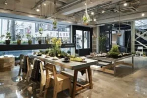 thiết kế quán cafe kiểu pháp