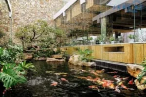 thiết kế quán cafe sân vườn