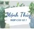 Người mệnh Thuỷ trồng cây gì hợp phong thủy?